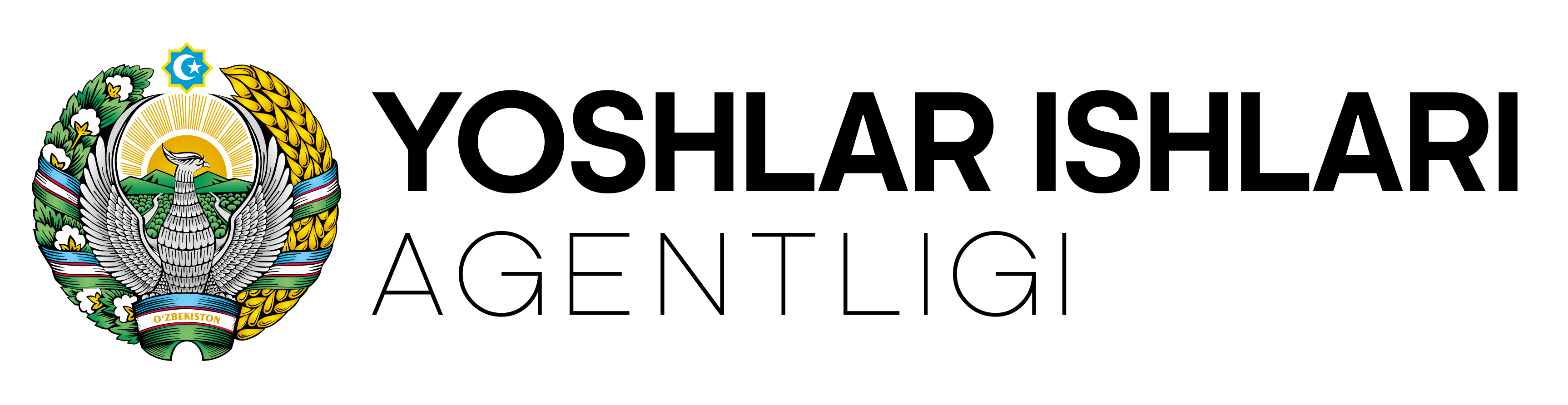 Youth Affairs Agency partner